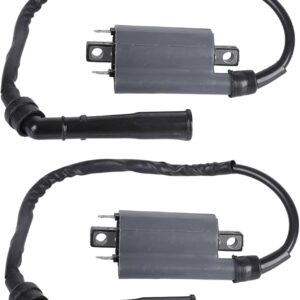 Twowinds - Bobina de Encendido Moto Compatible con Yamaha XV 250cc, 750cc, 1000cc - Repuesto para Motocicleta (2 unidades)