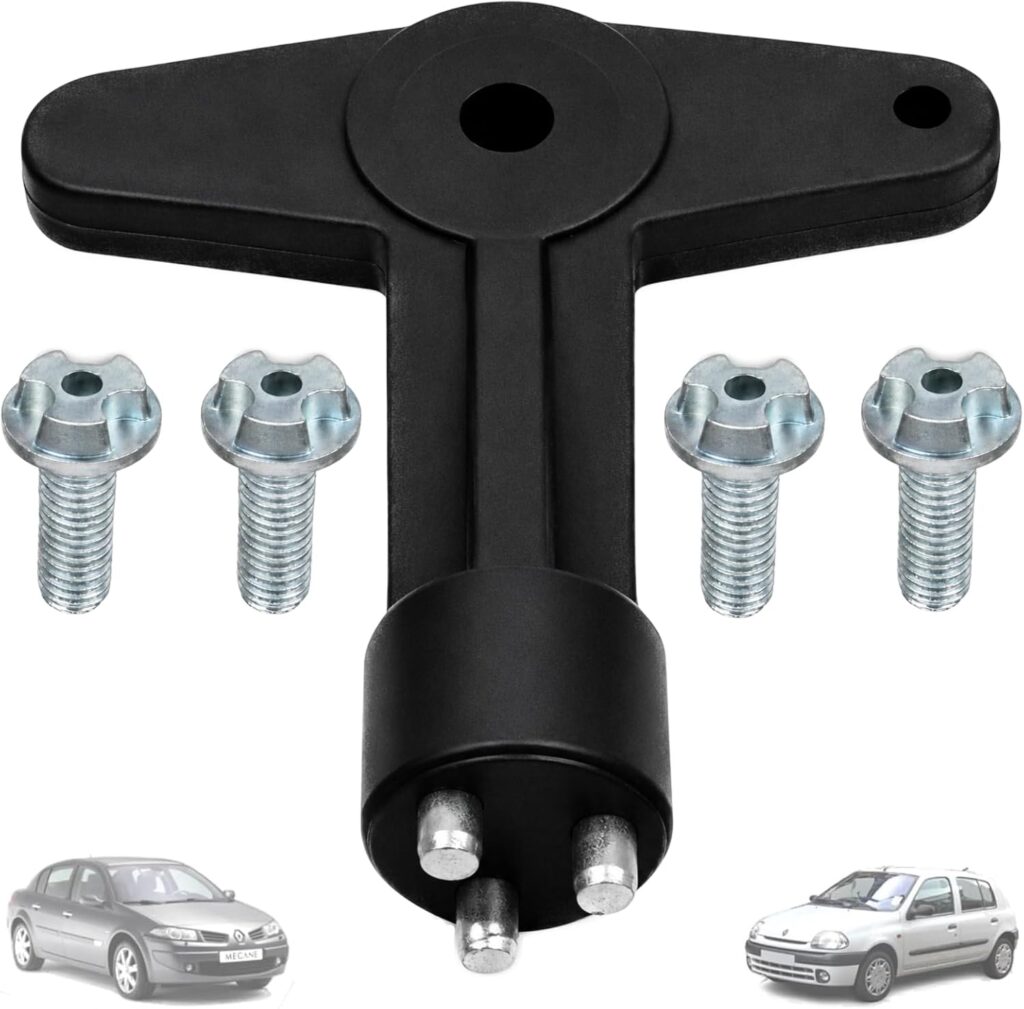 Twowinds - Llave Tapacubos Antirrobo 7700422600 Compatible con Renault Clio, Espace 4, Kangoo, Megane; Opel Astra, Corsa, Vectra - Llave de Extracción - Tornillo de Seguridad M8 (1 llave, 4 tornillos)